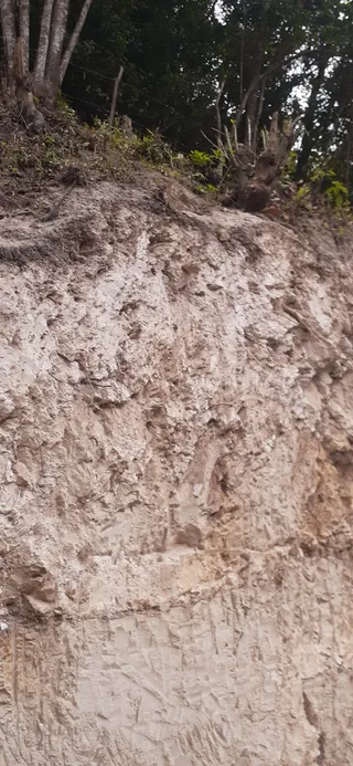 Avance de obra del 09/01/2026 — foto 5